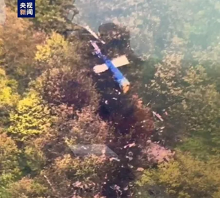 顾子明-4 顾子明-4