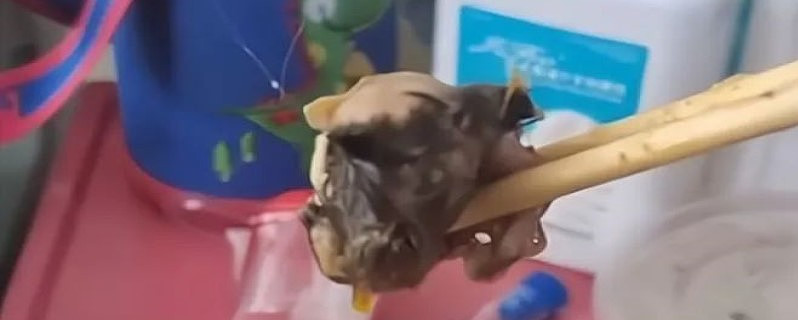 顾子明-1 顾子明-1