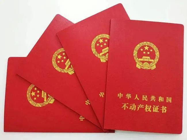 顾子明-1 顾子明-1