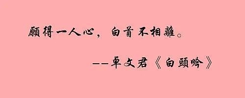 顾子明-3 顾子明-3