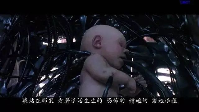 顾子明-1 顾子明-1