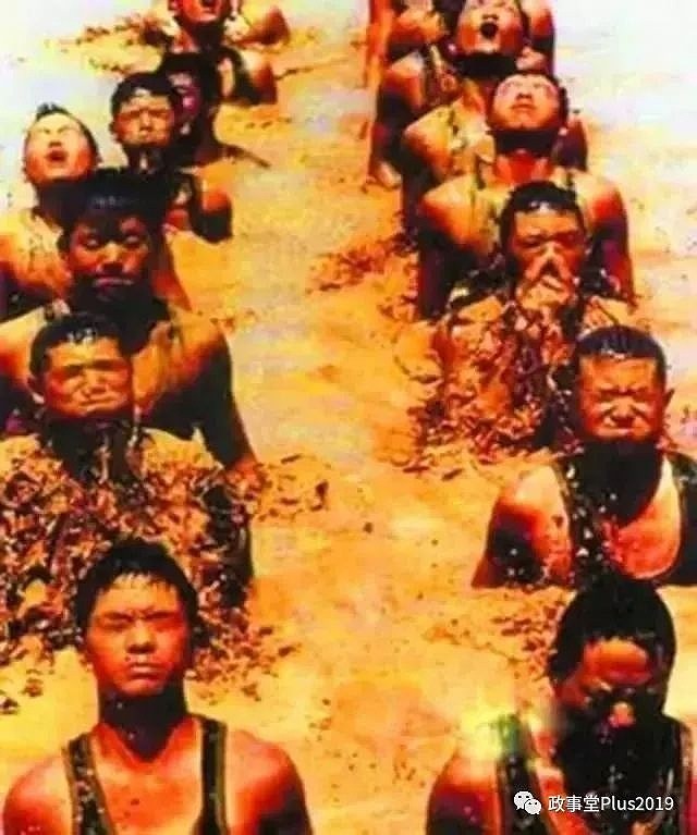 顾子明-3 顾子明-3