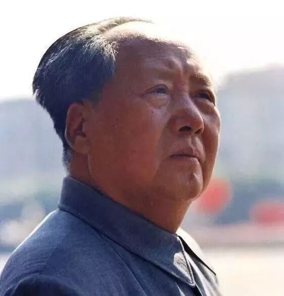 顾子明-17