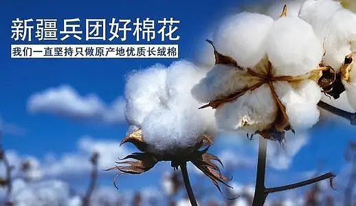 顾子明-3 顾子明-3