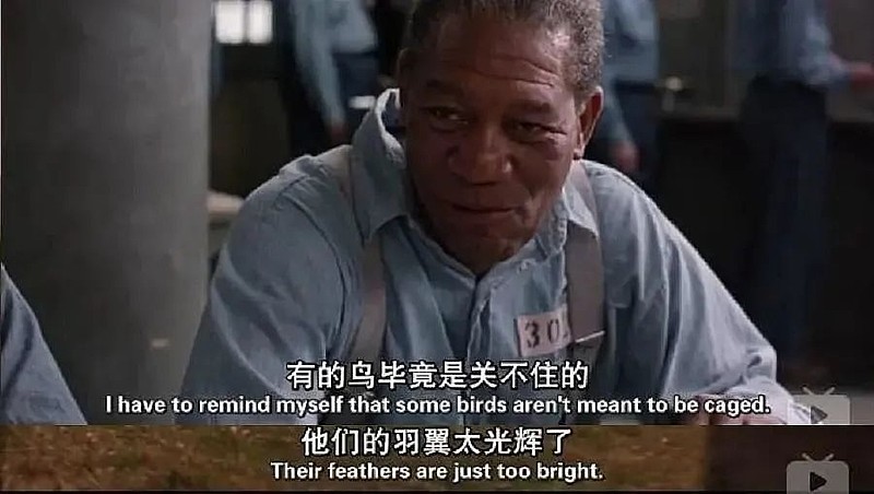 顾子明-4