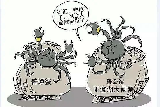 顾子明-2 顾子明-2