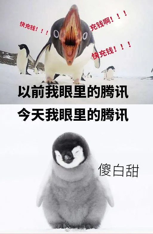 顾子明-3 顾子明-3