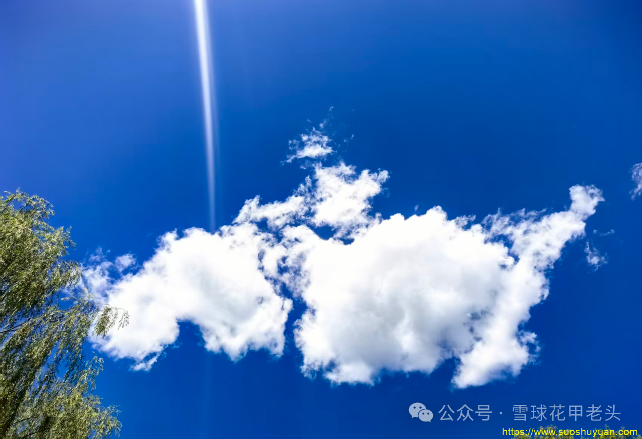 顾子明-1 顾子明-1