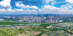 听风的蚕：大漂亮家的封号与劫道，魔幻到你想不到