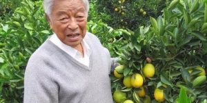 %title缩略图