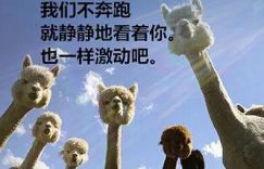 %title缩略图