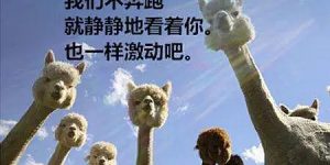 %title缩略图